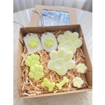 Ferahlatıcı Limon Bahçesi El Yapımı Pati ve Kemik Sabun Seti
